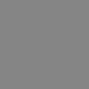 Gray Zinc Shed Desoto Series Paint Sample